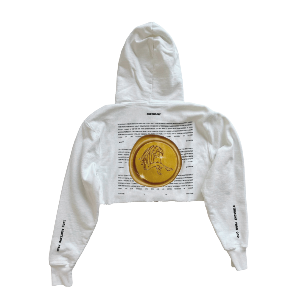 Back of Casa Malka hoodie with large gold coin emblem in studio shot